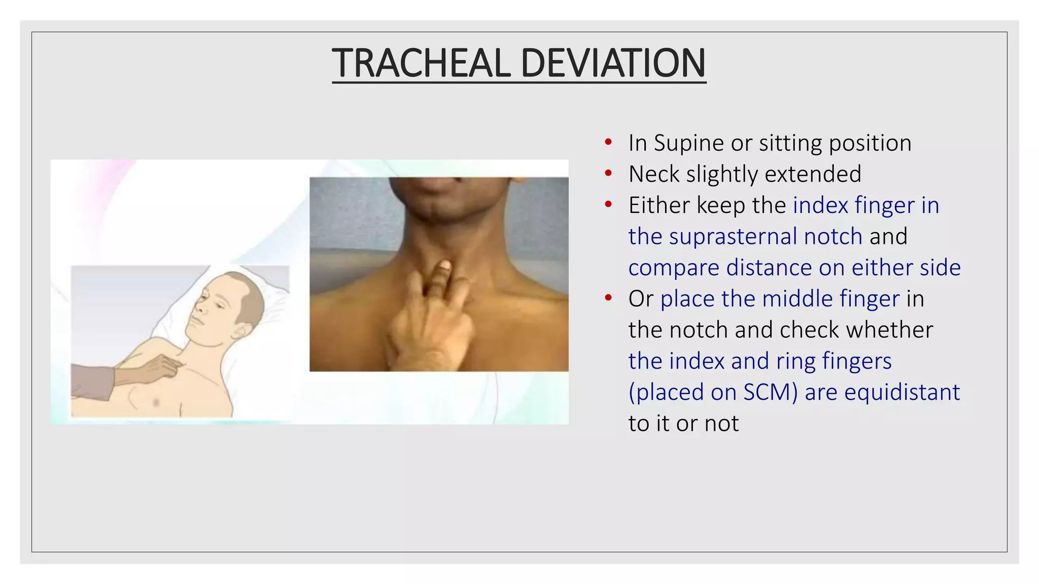 <p><u>anterior chest:</u></p><ul><li><p>pt sitting/supine position</p></li><li><p>discomfort→arms slightly abducted</p></li></ul><p>P: anterior chest</p><ul><li><p>tenderness</p></li><li><p>abnormalities</p></li></ul><p><u>posterior+lateral chest:</u></p><ul><li><p>pt sitting</p></li></ul><p>arms:</p><ul><li><p>posterior: across chest</p></li><li><p>lateral: on hips</p></li></ul><p>P: posterior+lateral chest</p><ul><li><p>posterior+lateral chest</p></li><li><p>tenderness</p></li><li><p>abnormalities</p></li></ul><p></p>