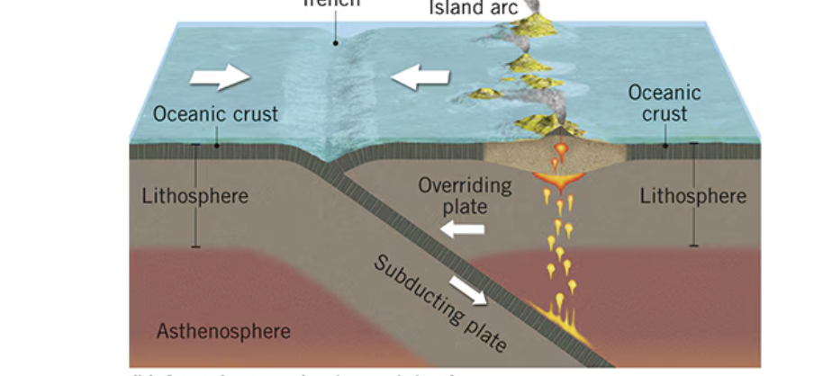 <p>denser ocean plate subducts, trenches and island arcs, both deep and shallow EQ’s, aleutian arc off Alaska, volcanic arc of the pacific, Japan and west edge of asia</p>