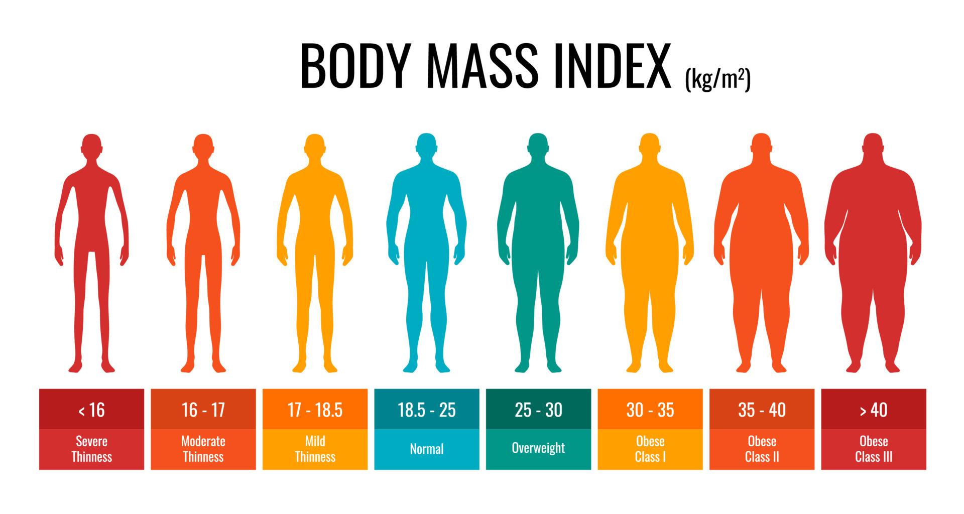 <p>Body Mass Index (BMI) - An index that incorporates height and weight to estimate critical fat values at which risk for disease increases.</p>