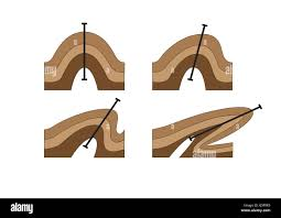 <p>A bend in (plastic) rock as a result of tectonic stress. Usually results from compression. Always shortens the horizontal distances in rock. Usually occurs as part of a group of many similar folds.</p>