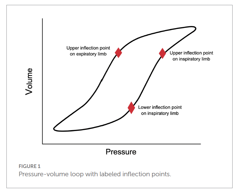 <p>Lower inflection point (LIP) - represents the point at which compliance increases significantly, likely due to the recruitment and opening of alveoli</p><p>Upper infection point (UIP) on inspiratory limb - point at which compliance decreases due to the overdistension of alveoli</p>