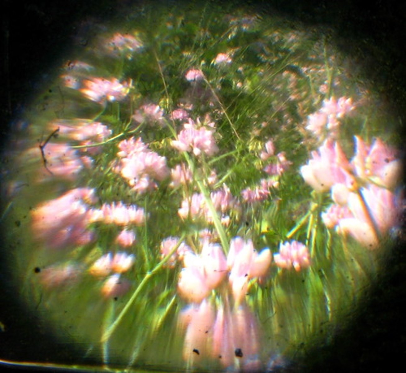 <p>a psychological approach that emphasizes that we often perceive the whole rather than the parts</p>