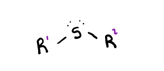 <p>are organic compounds containing a sulfur atom bonded to two alkyl or aryl groups. They are analogous to ethers but with sulfur replacing the oxygen. </p>