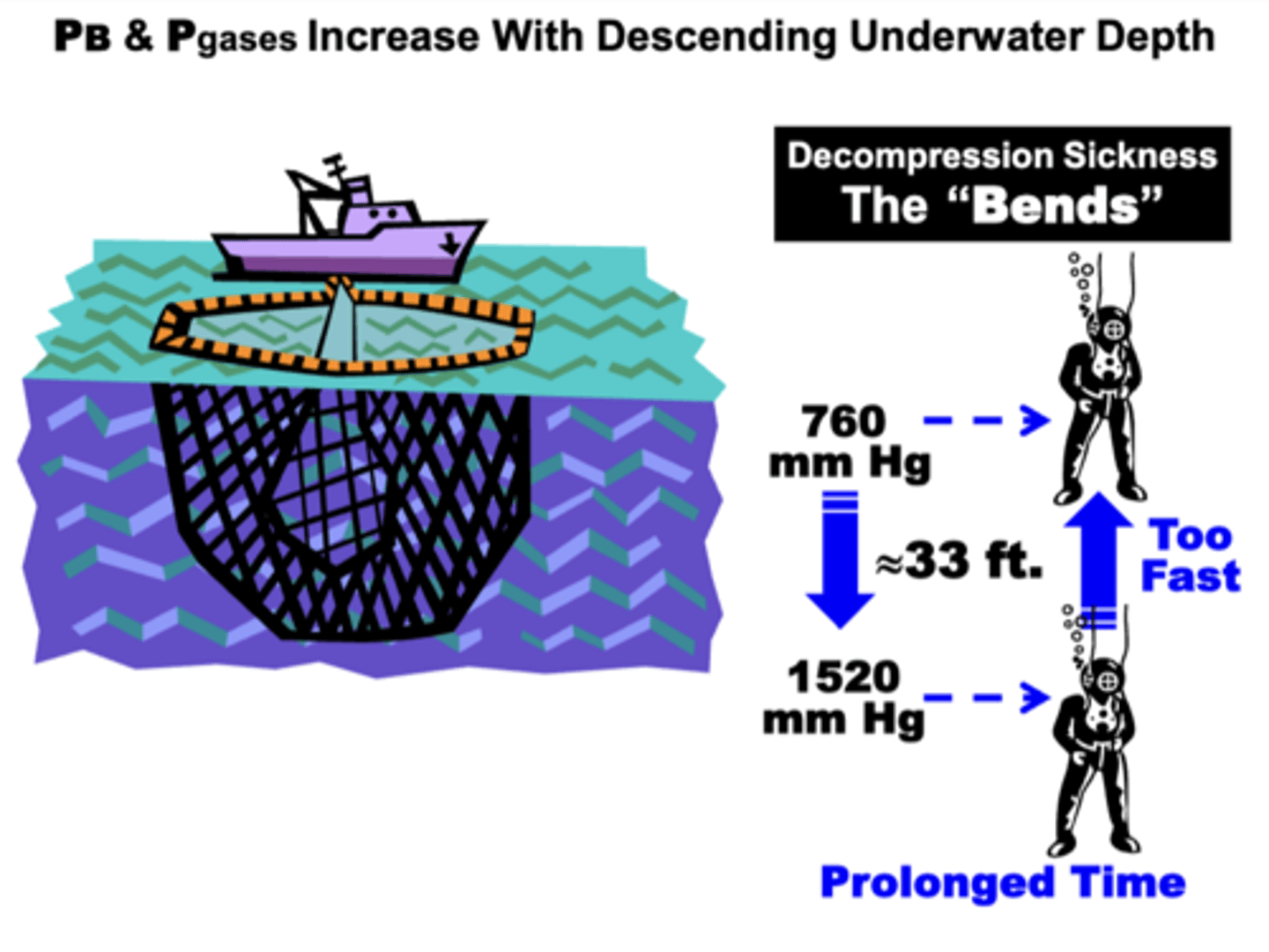 <p>increases during descent to depths below sea level</p><p>- PB and all Pgases become proportionately affected </p><p>- can cause decompression sickness (the ‘bends)</p>