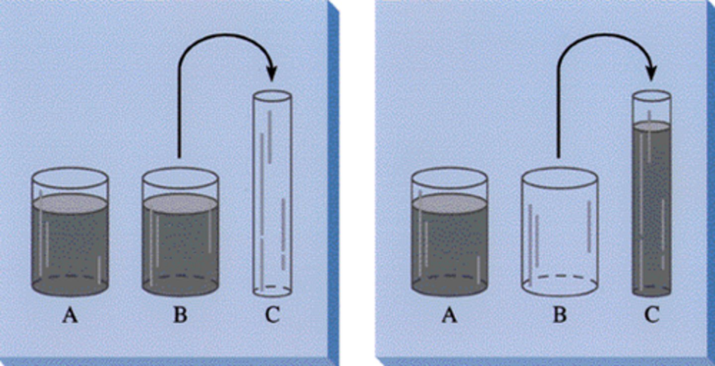 <p>the principle that properties such as mass, volume, and number remain the same despite changes in the forms of objects</p>