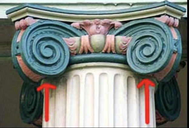 <p>Volute</p>