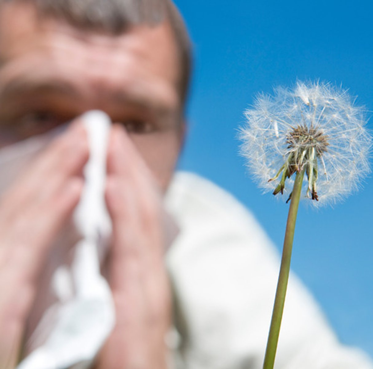 <p>v. chịu đựng</p>