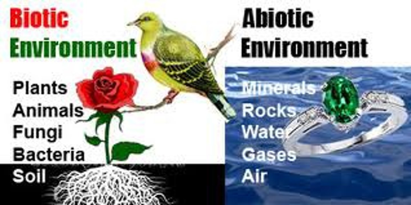 <p>A community of different species interacting with one another and with their nonliving environment of matter and energy.</p>