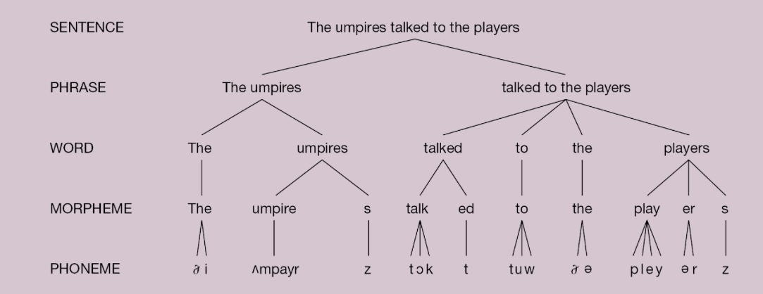 <p>Hierarchy of Linguistic Units</p>