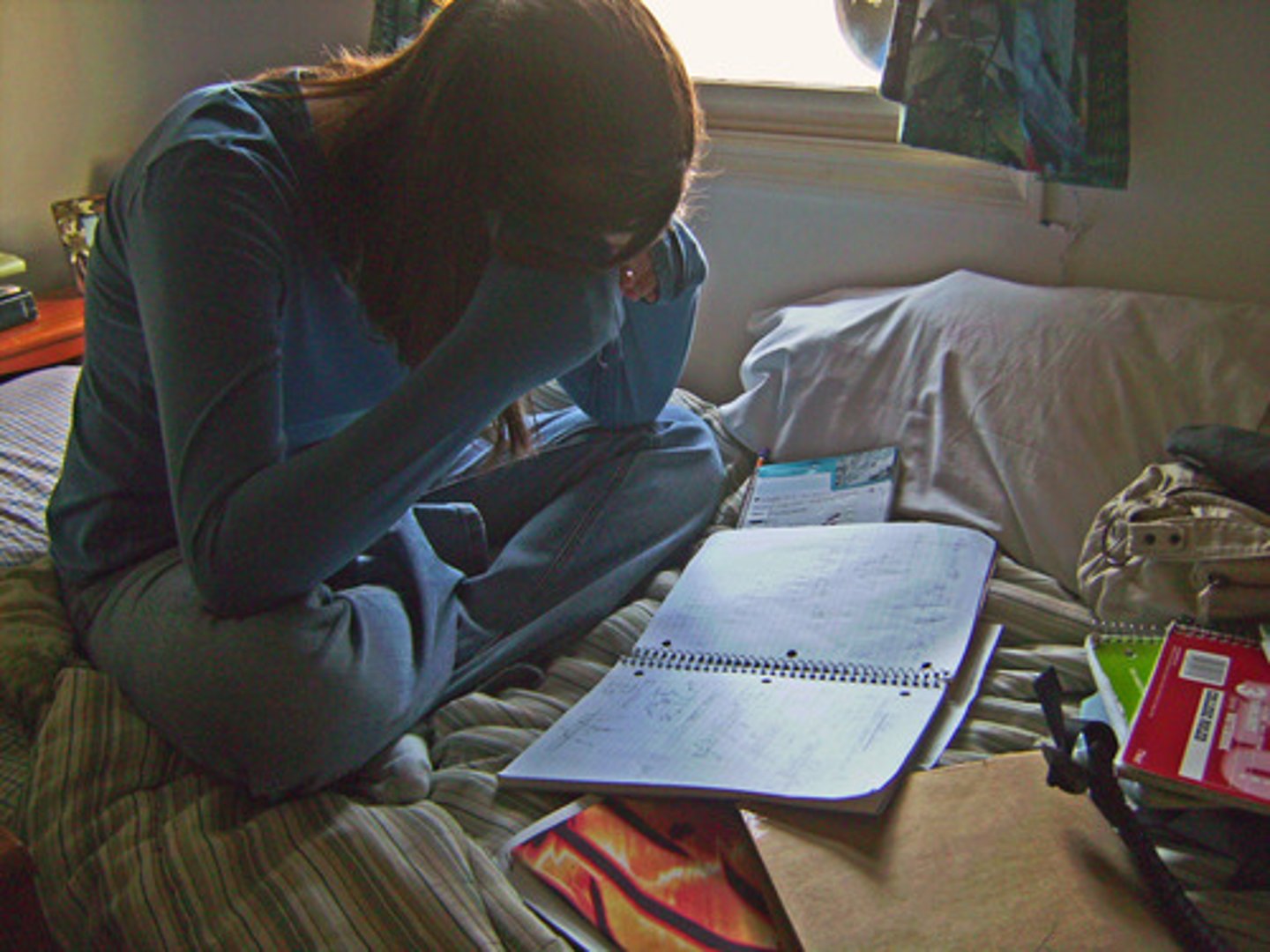 <p>I don't like to study</p>