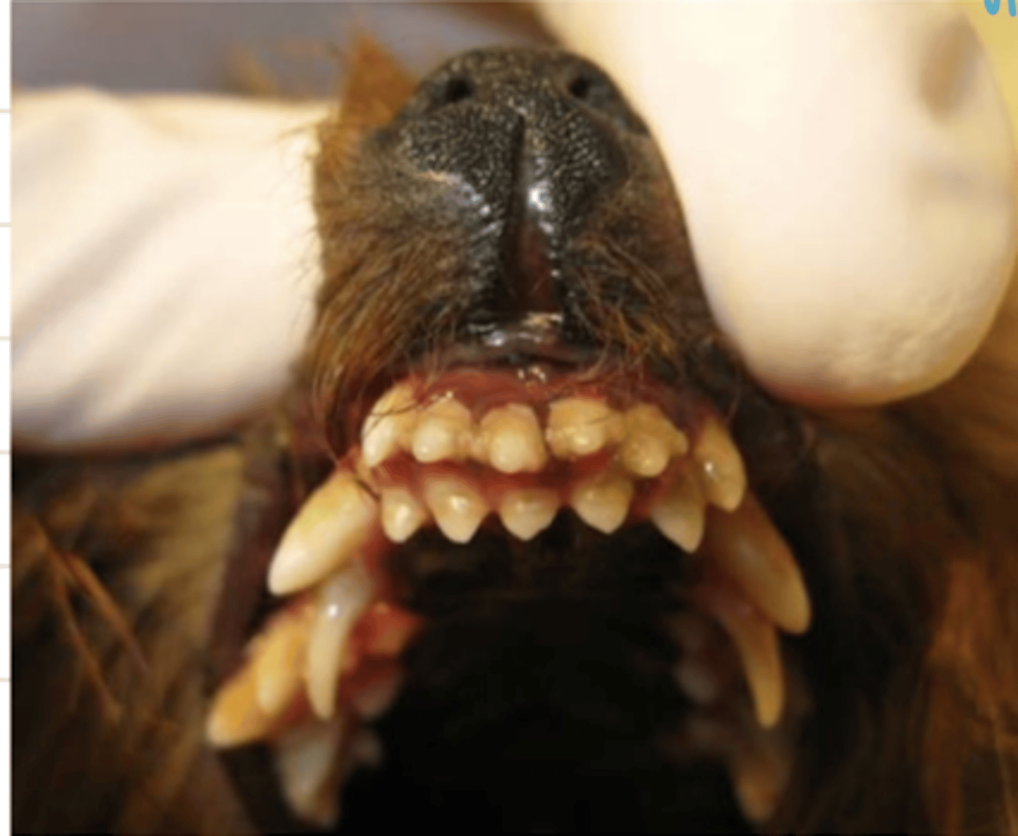 <p>we call this ....</p>