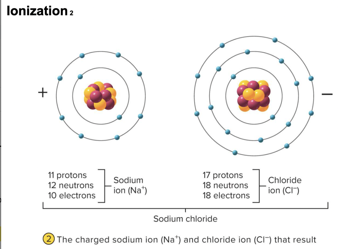 <p>particle that has a net <strong>positive charge</strong> due to <strong>loss of electrons </strong>&amp; <strong>more protons</strong></p>