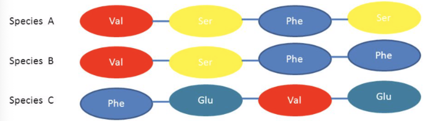 A and B are more closely related than C