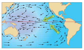 <p>The northeast and southeast trade winds combine to push warming surface water westward across the ocean in the equatorial belt. After circling near the poles, the return water flowing along the North and South American coasts is cold.</p>