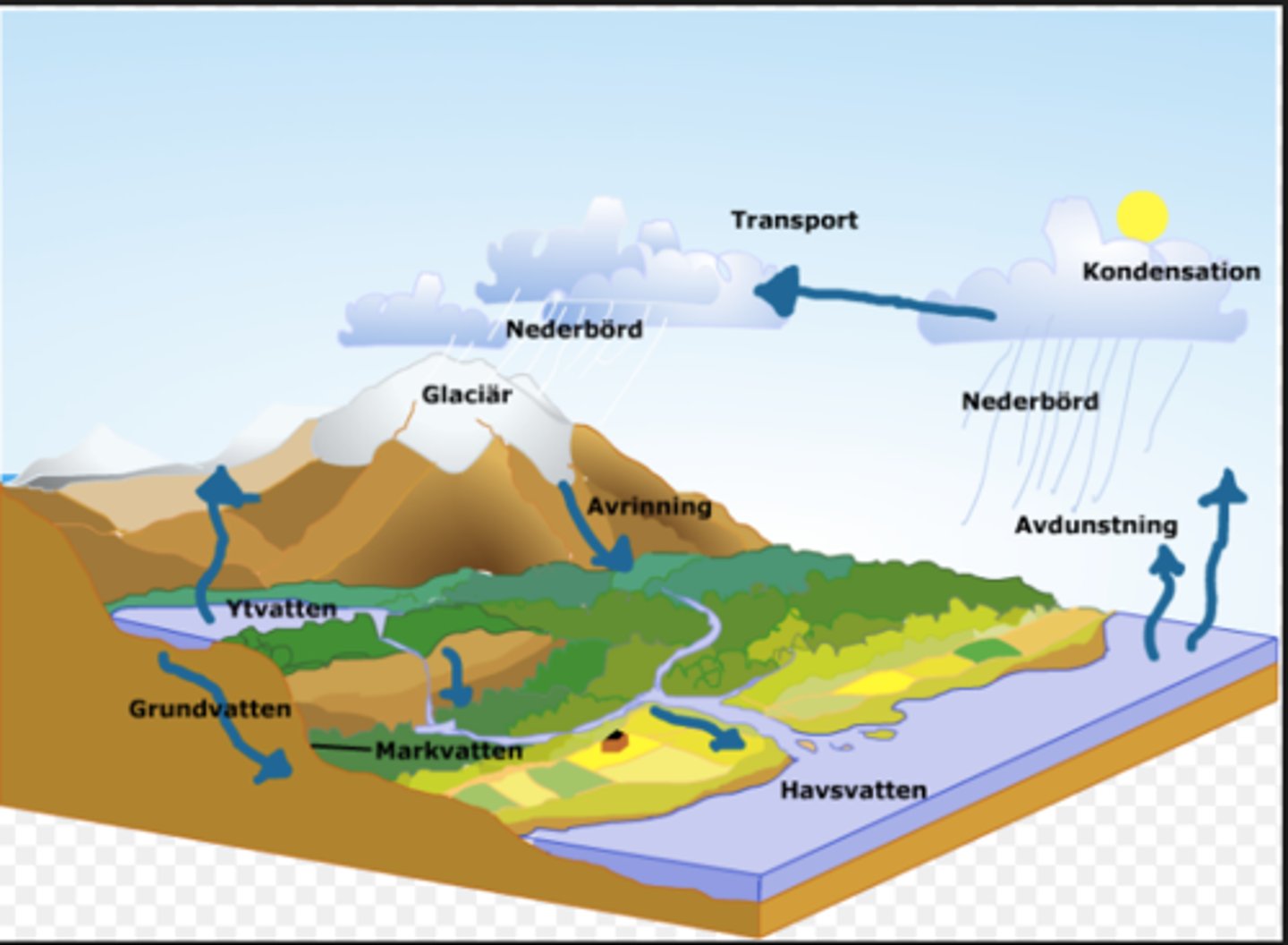 <p>Vatten cirkulerar i ett kretslopp som drivs av solens energi. Solen värmer vattnet i våra hav, sjöar, vattendrag och i marken. När det avdunstade vattnet stiger upp i atmosfären kyls det ner, kondenserar, och bildar moln. När molnen så småningom blir mättade börjar det regna och vattnet återförs till jordytan och rinner tillbaka.</p>