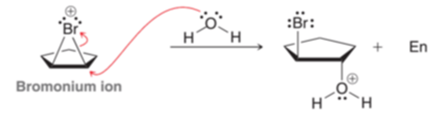 <p>When bromination occurs in the presence of water(nucleophilic solvent), the bromomium ion that is initially formed can be captured by a water molecule, rather than bromide because the intermediate bromonium ion is a high-energy intermediate and will react with any nucleophile that in encounters. When water is the solvent, it is more likely that the bromonium ion will be captured by a water molecule before having a chance to react with a bromide ion, resulting in the deprotonation of the oxonium ion.</p>