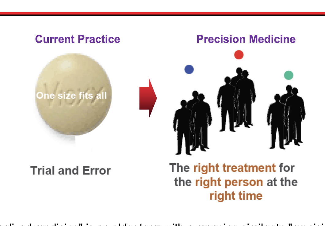 <ul><li><p>‘personalized' medicine’ = older term with a meaning similar to ‘precision medicine’</p></li><li><p>precision med = focus is on <strong>identifying which approaches</strong> will be effective for <strong>which patients based on genetic, environmental and lifestyle factors</strong></p></li></ul><p></p>