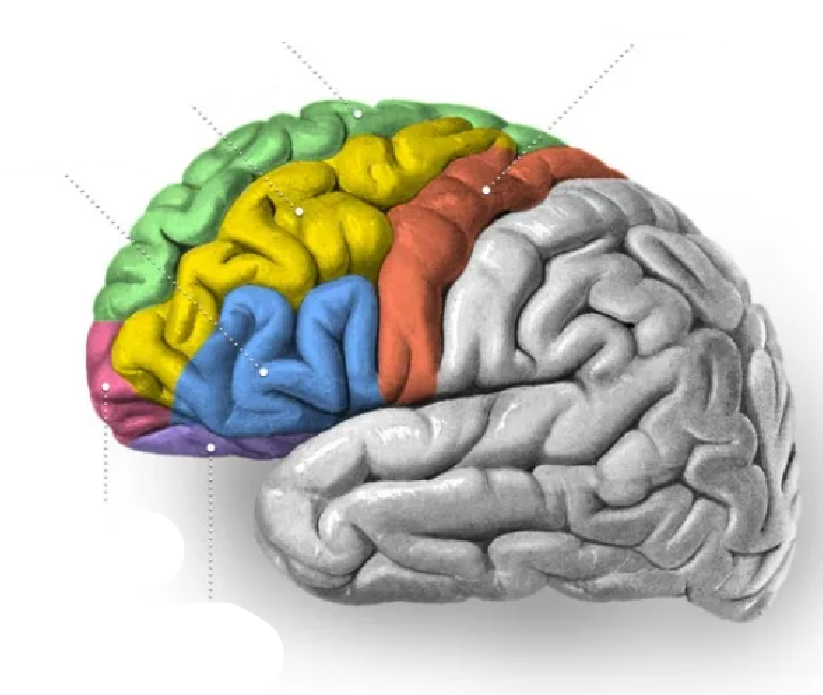 term image