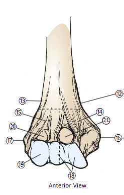 <p>18</p>