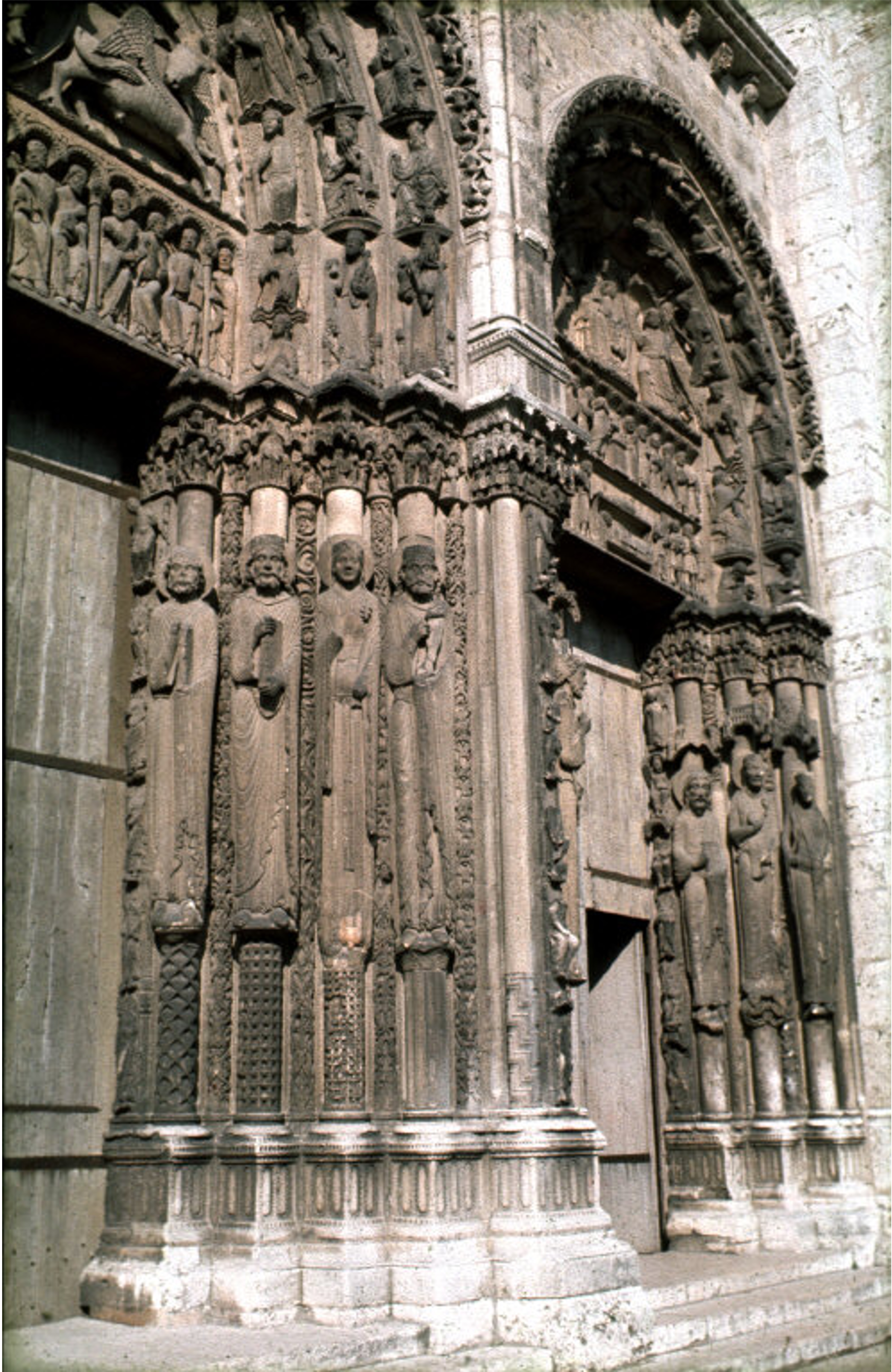 term image
