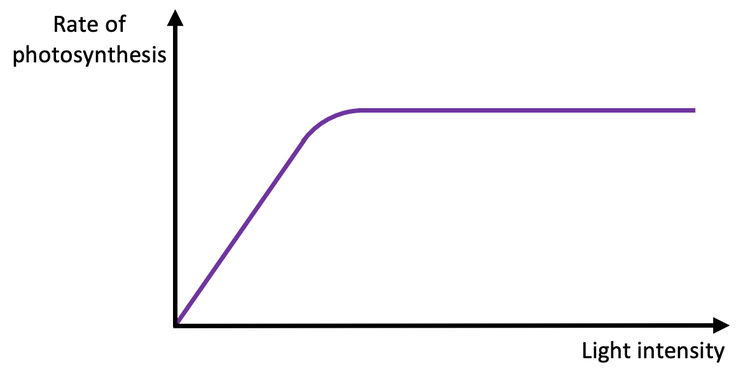 <p>Plateu is another factor becomes limiting</p>