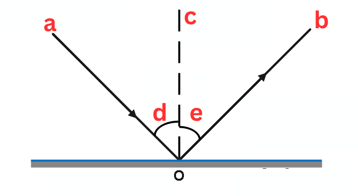 <p><span style="color: rgb(0, 0, 0);"><span>Label This Formula</span></span></p><p><span style="color: rgb(0, 0, 0);"><em><span>Ray Diagrams</span></em></span></p>