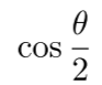 term image