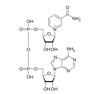 <p>what structure is this</p>