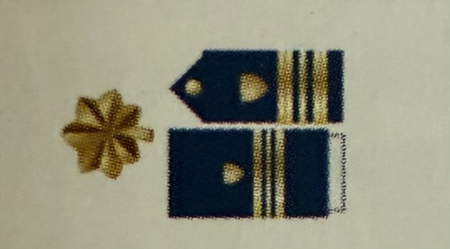 <ul><li><p><strong>Collar Device:</strong> Zero One Gold Oakleaf</p></li><li><p><strong>Sleeve Insignia:</strong><br>Zero One Half-Inch Gold Band<br>Below Zero One Quarter-Inch Gold Band<br>Below Zero One Half-Inch Gold Band</p></li></ul><p></p>