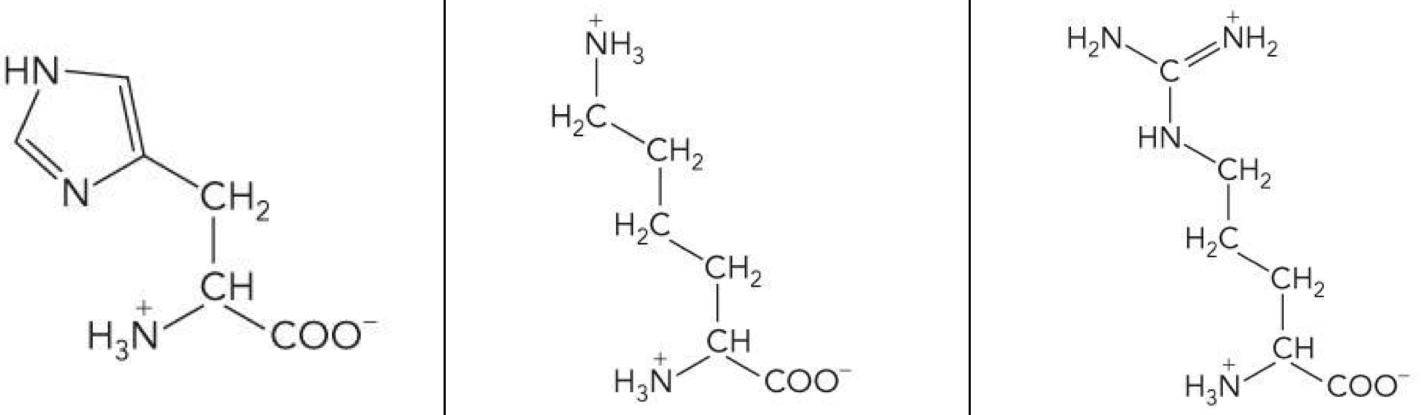 <p>What amino acid is this? 3-letter code? Characteristics? (Left to right)</p>