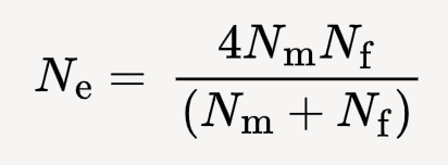 <p>relative number of breeding females and breeding males in a population </p><ul><li><p>formula is usually off but accurate enough to capture that skewed sex ration reduces effective population size</p></li></ul><p></p>
