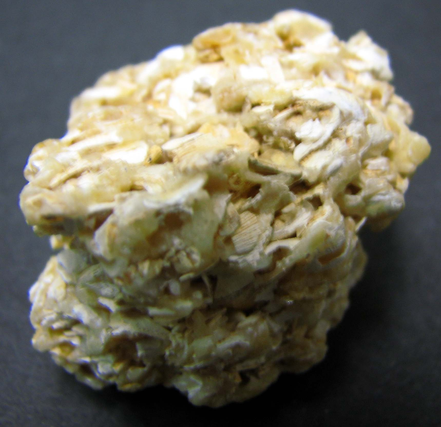 <p>Made of shells cemented together, sedimentary</p>
