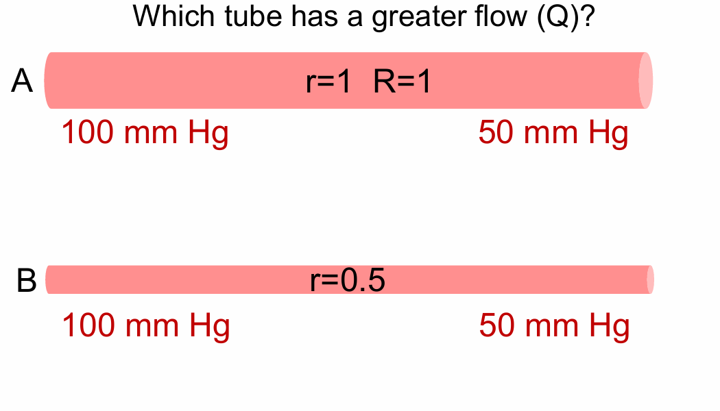 <p>Which tube has a greater flow (Q)?</p>