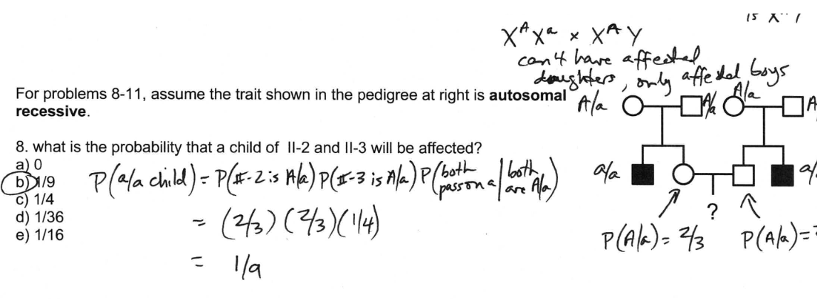 <ul><li><p>1/9</p></li></ul><p></p>