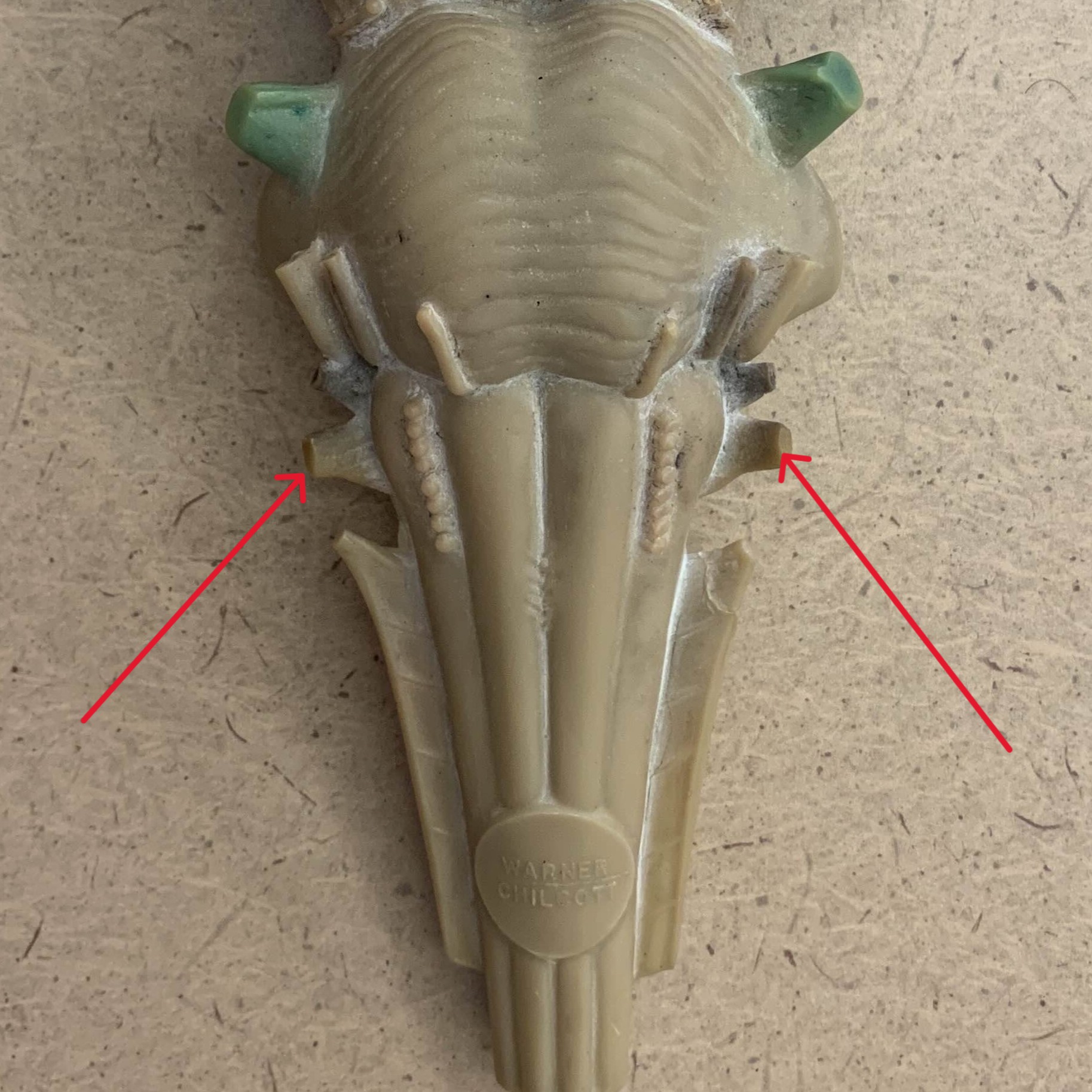 <p>Which nerve of the brain is:</p><ul><li><p>Inferior to glossopharyngeal</p></li><li><p>Lateral to hypoglossal</p></li></ul><p></p>