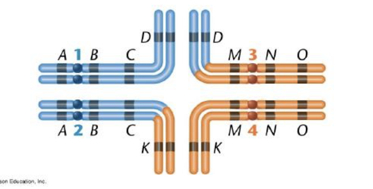 <p>this photo shows </p>