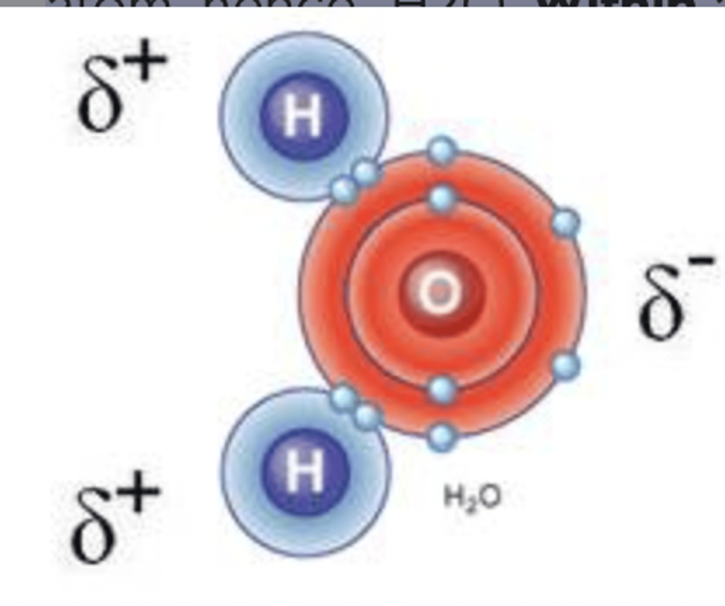 <p>held together by covalent bonds (two hydrogens one oxygen)</p>