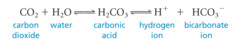 Substance that resists changes in pH by accepting or donating H+ ions