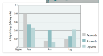 <p>a perspective that emphasizes the role of motor behaviour in cognition; “cognition is typically about acting with a physical body in an environment in which the body is immersed”</p><p>meaning is represented in the perceptual and motor systems</p><p></p><p>action verbs and the involvement of motor areas in representation:</p><p>Hauk et al 2004: brain activation while listening to verbs that involved the face, arm or leg (lick, pick, kick) → found greater activation in the part of the motor cortex that would activate when doing said action</p>