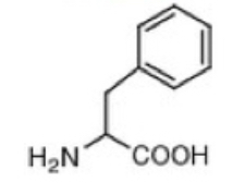 <p>Phenylalanine (F)</p>