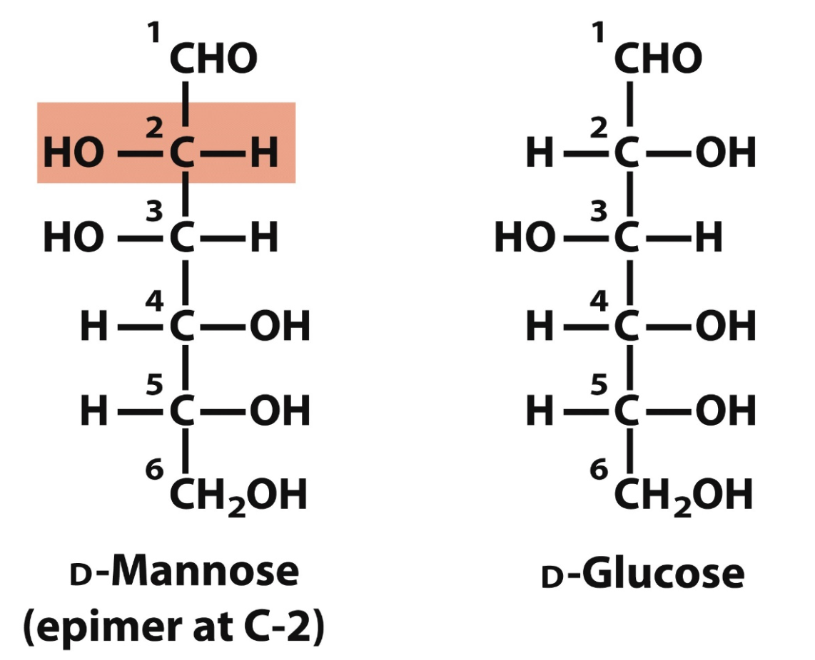 <p>sugars that differ only in the config around one carbon atom</p><p>like D-Mannose and D-Glucose at C2</p>