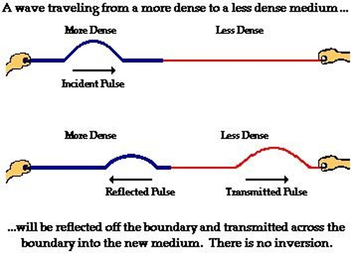 <p>When waves travel from one medium into another, some of the energy will transmit through, while some will be reflected</p>
