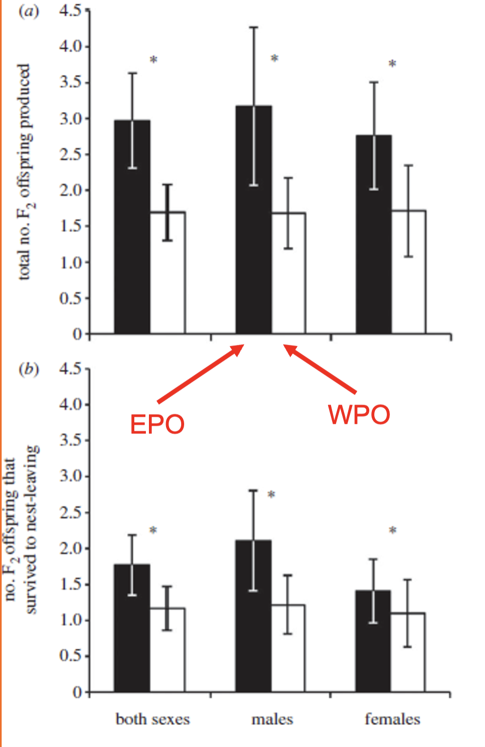 <p>Dark-eyed juncos engage in extra pair copulations, extra pair copulation chicks have higher fitness than within pair copulation chicks. Reed buntings had increased genetic diversity and immune function in extra-pair offspring.</p>