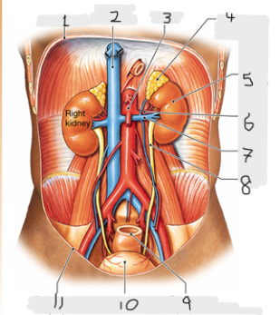 <p>4  refers to</p>