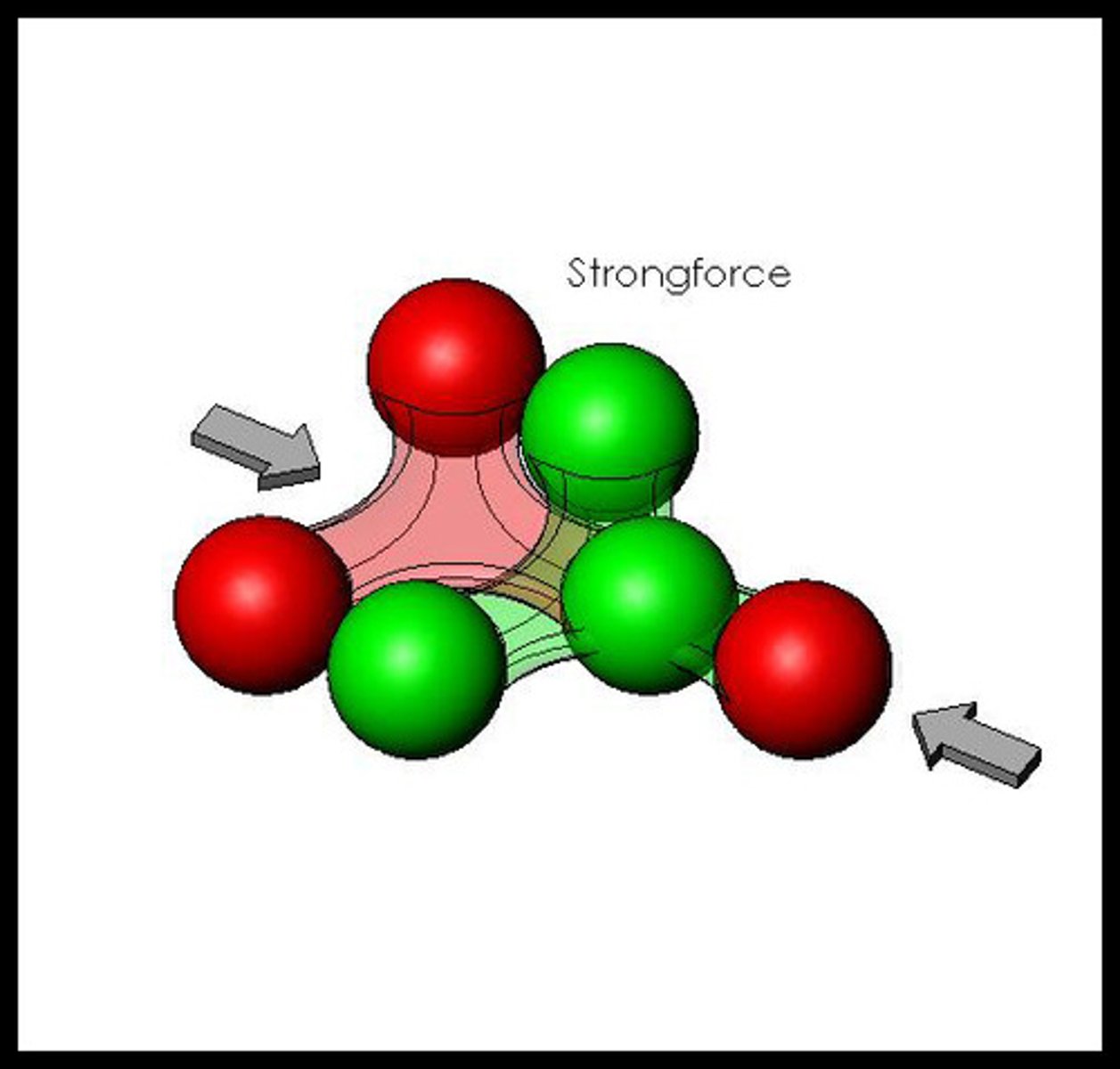 <p>protons and neutrons</p>