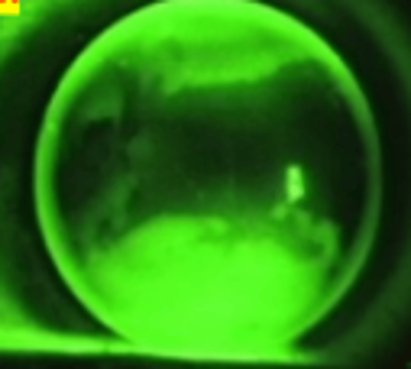 <p>what type of astigmatism does this fluorescein pattern represent?</p>