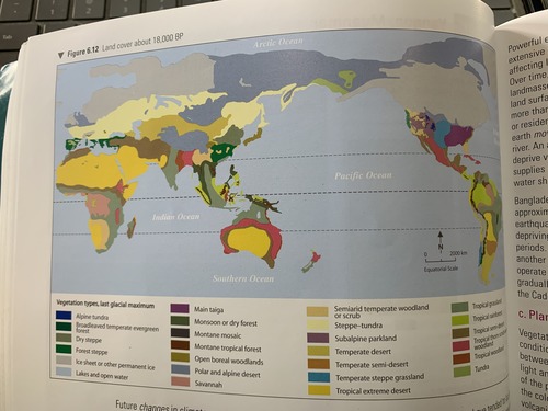 land cover distribution