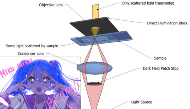 <p>Darkfield illumination for specimen</p>