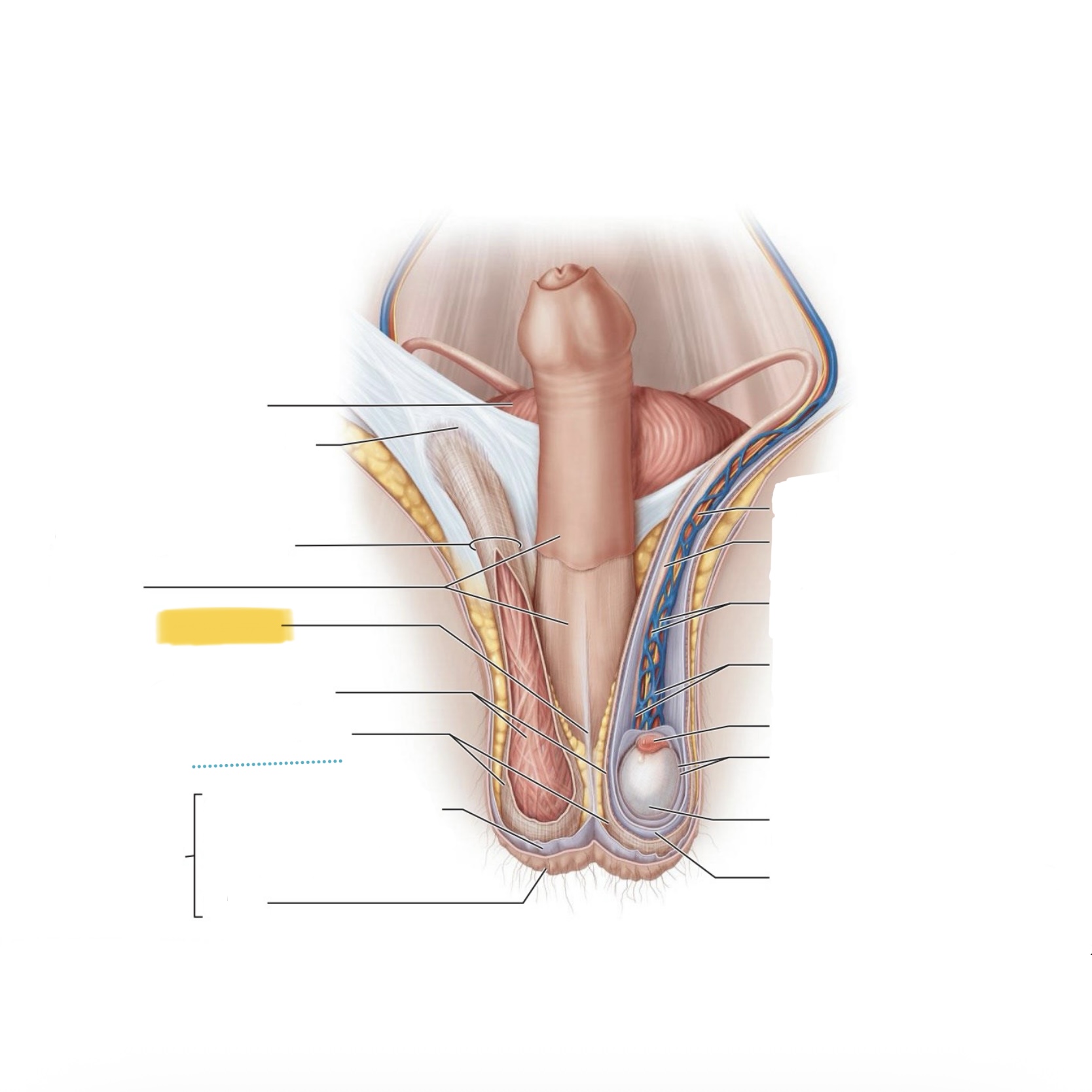 <p>What is this structure?</p>