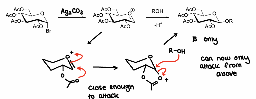 <p>Depends on the protecting group at the C2 position. If it is close enough to attack the oxocarbenium ion it may prevent attack from below the ring, therefore only beta anomers are made.</p>